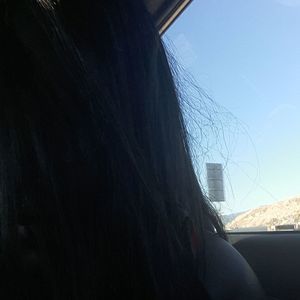 Meet your Posher, Willa